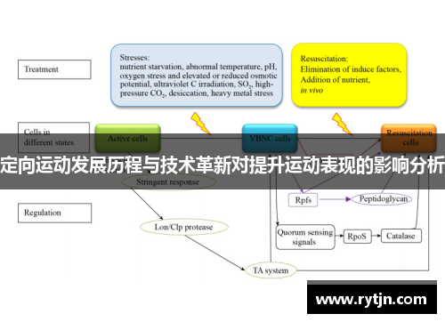 定向运动发展历程与技术革新对提升运动表现的影响分析