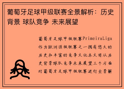 葡萄牙足球甲级联赛全景解析：历史背景 球队竞争 未来展望